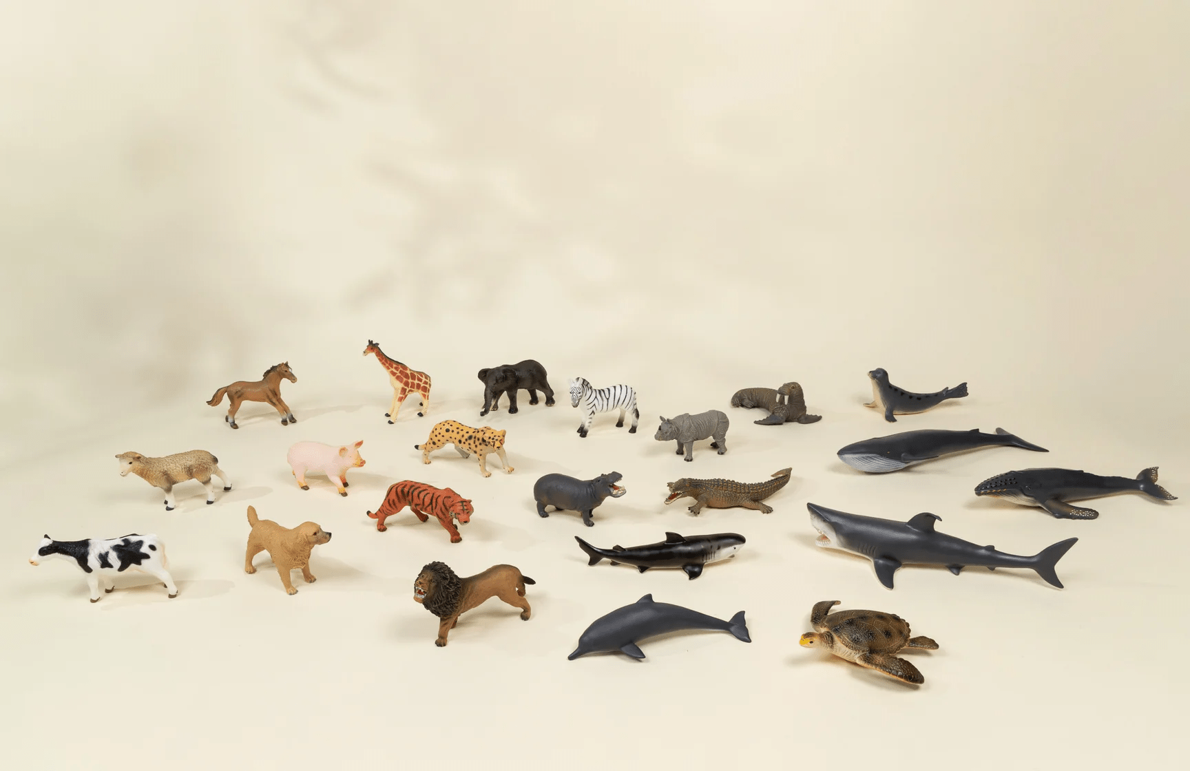 Coco Village Large Sea Life Animal Play Figurine – Seal Soap - Image 2