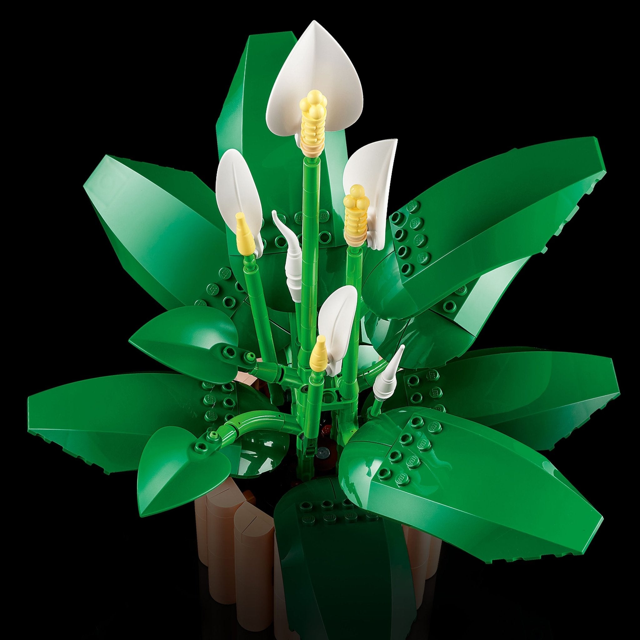 LEGO® Botanicals LEGO® Peace Lily Flower Decor 11504 Pot - Image 5