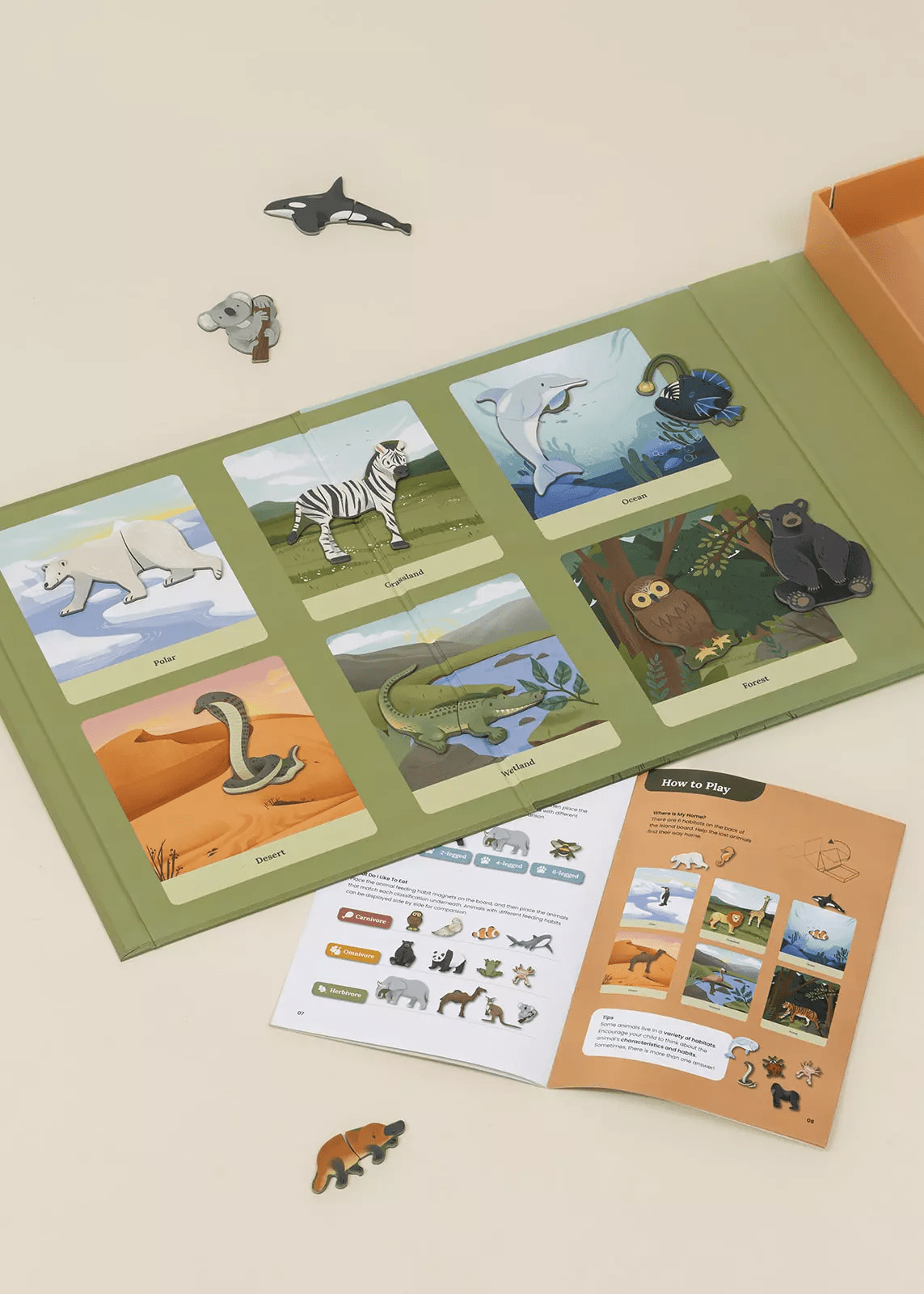 Coco Village Interactive & Magnetic Encyclopedia – Animal Discovery (English Version) Puzzle - Image 3
