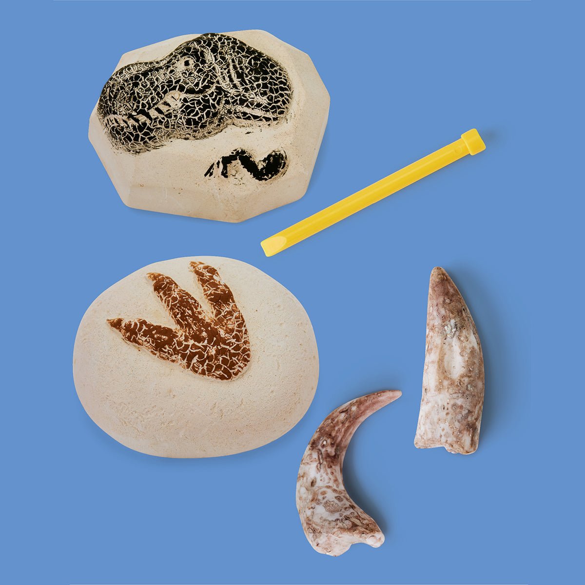 Discovery Toy Excavation Kit Dino 2pc - Image 7
