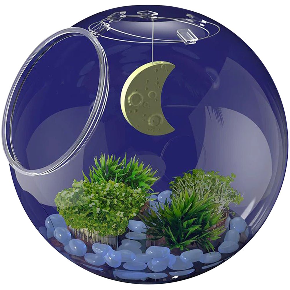 Thames & Kosmos WOW in the World Light-Up Terrarium Container - Image 5