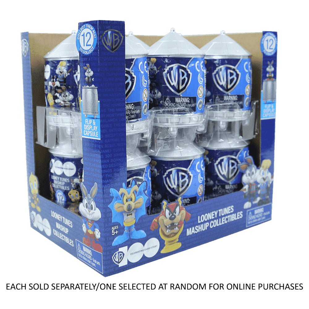 WB100 2.5" Minifigure Mashup Assorted Capsule