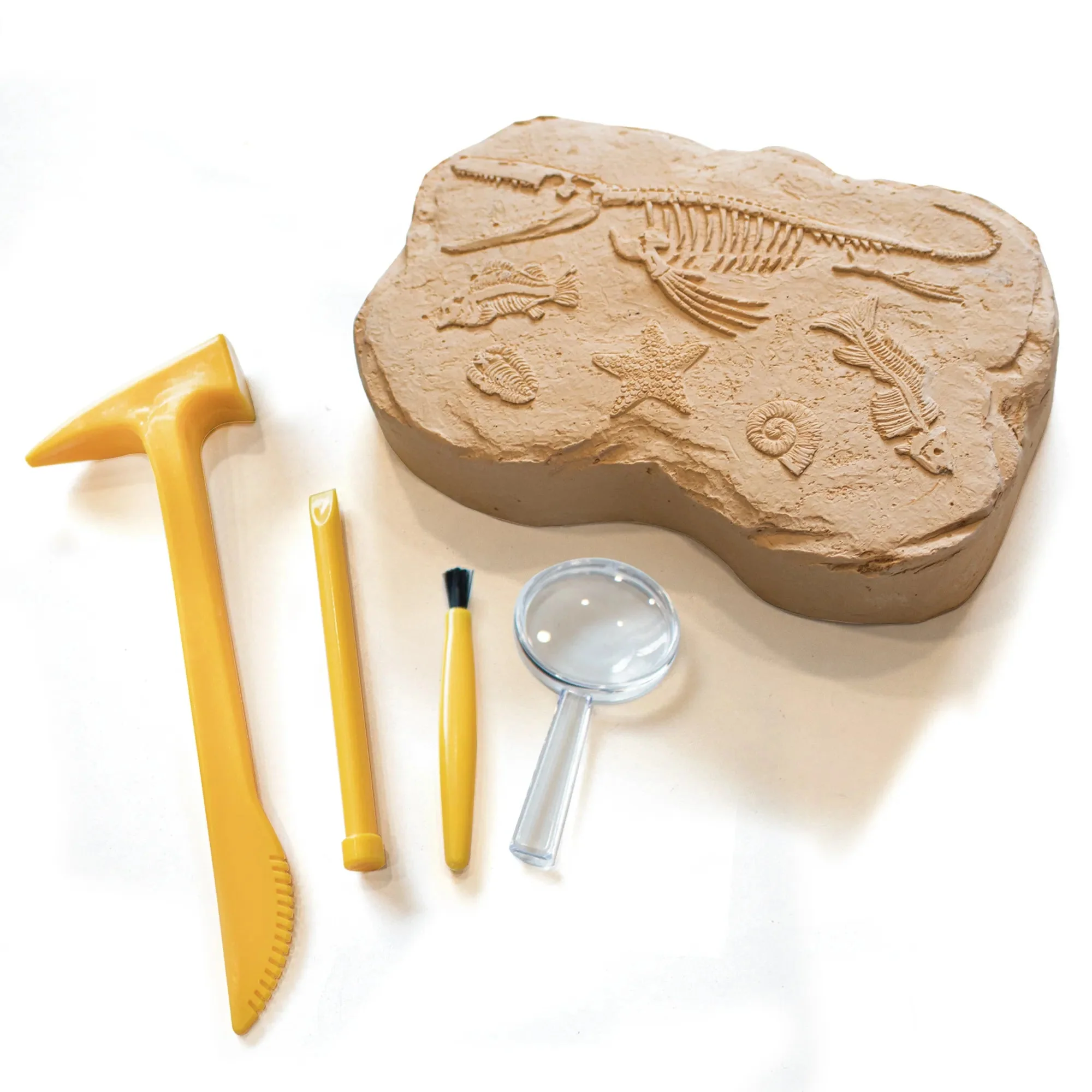 Educational Insights GeoSafari® Fossil Excavation Kit Brush - Image 2